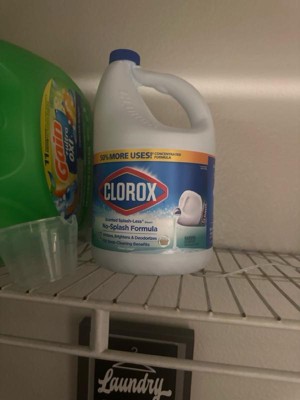 Clorox 81 Oz. Disinfecting Bleach - Gillman Home Center