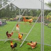 Chicken Roosting Perch, Chickens Roosting Bars for Coop, Easy to Assemble&Clean, Chicken Ladder for Backyard Farm Poultry (55" L x 40" W) - 4 of 4