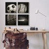 Stupell Industries Sports Balls Photography, 17" x 17" (Set of 4) - 2 of 4
