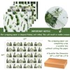 Wrapables Christmas Gift Wrap Paper Sheets Folded Flat 12pcs, Green Nature - 2 of 4