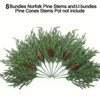 Attop 20pcs Real Touch Artificial Norfolk Pine Stems with 12 Big Pinecones - 17 Inch Lush Green Plastic Branches for DIY Christmas Wreaths - 2 of 4