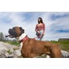 Country Brook Petz Red Bandana Martingale Dog Collar - 3 of 4