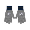 NHL Tampa Bay Lightning Gray Big Logo Glove - 2 of 4