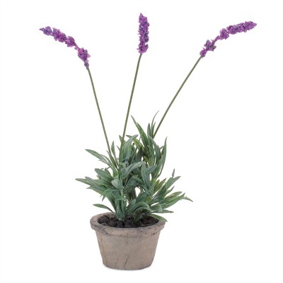 Potted Lavender 14.5"H
