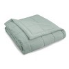 Down Alternative Quilted Bed Blanket - Serta - image 2 of 2