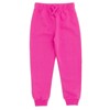 Sesame Street Fleece Pullover Hoodie and Pants Outfit Set Toddler - 4 of 4