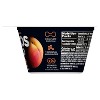 Oikos Pro Greek Yogurt - 4 of 4