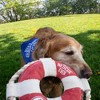 Pavilion Gift Company - Best Rescue Ever - 10" Canvas Dog Toy on Rope - Pet Toy - 2 of 4