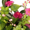 Northlight Leafy Hydrangea Floral Spring Hanging Basket - 16"  - Pink - 4 of 4