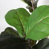 Gulches 6FT in Artificial Green Leaf Real Touch Fiddle Leaf Fig Tree in Black Plastic Pot 1pc Set Faux Indoor Home Office Living Room Corner Decor - 3 of 4