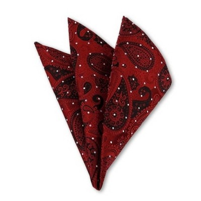 TheDapperTie - Men's Paisley Woven 10 Inch x 10 Inch Pocket Squares Handkerchief