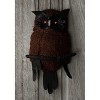 HalloweenCostumes.com  18" Large Light Up Owl, Black/Red/Brown - 2 of 4