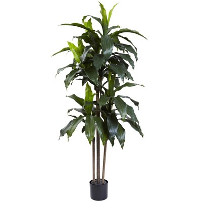 5-Foot Green Plastic Dracaena Plant with Lights