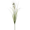 48" Artificial Grass with Pomp Balls in Pot - Vickerman: Indoor/Outdoor PVC Faux Foliage, Black Plastic Pot - 2 of 2