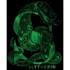 Boy's Harry Potter Slytherin S Logo T-Shirt - 2 of 4
