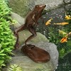 Design Toscano Giant Leaping, Spitting Frog Cast Bronze Garden Statue - 3 of 4