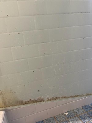 Guest review image 2 of 2, zoom in