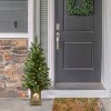 Puleo Set of 2 Artificial Battery-Operated Pre-Lit Gold Pot Potted Christmas Trees - 2 of 4