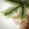 36.5"H Sullivans Emerald Pine Tree In Burlap, Green - 2 of 3