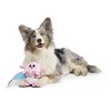 BARK Sniffin Booty Mr. Shmeep Dog Animal Plush Toy - 4 of 4