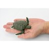 Collectible Wildlife Gifts | Turtle, Green Sea Turtle, Museum Quality, Hand Painted, Rubber Reptile, Realistic Toy Model, Gift,   4"   CH319 BB131 - 2 of 4