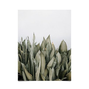 Romana Lilic / LA76 Photography Moonshine Snake Plant 18" x 24" Poster - Society6 - 1 of 3