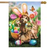 Bunny In Training Easter House Flag Cat Kitten 28" x 40" Briarwood Lane - 2 of 4