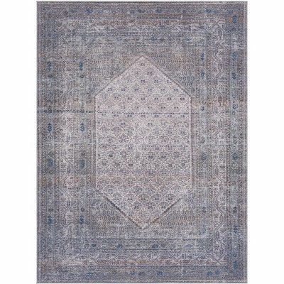 Hauteloom Brown Ballinasloe Vintage Washable Area Rug