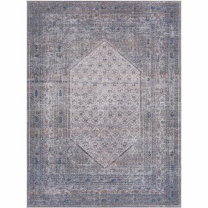 Hauteloom Brown Ballinasloe Vintage Washable Area Rug - 1 of 4