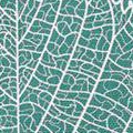 Turquoise Green