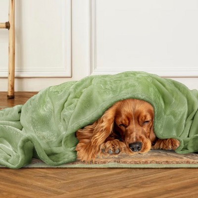 Sage Green Fleece Throw Blanket for Sofa Couch