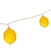 Perfect Holiday 10 LED Battery Operated String Light with Lemon - Warm White - 4 of 4