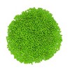 Mystic Sprinkles Plumpkins - Luscious Lime Green Jimmies 4.2lbs Bulk Bag - 3 of 4