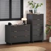 Manhattan Comfort 2pc Granville Narrow Chest and Dresser Bedroom Set - 2 of 4