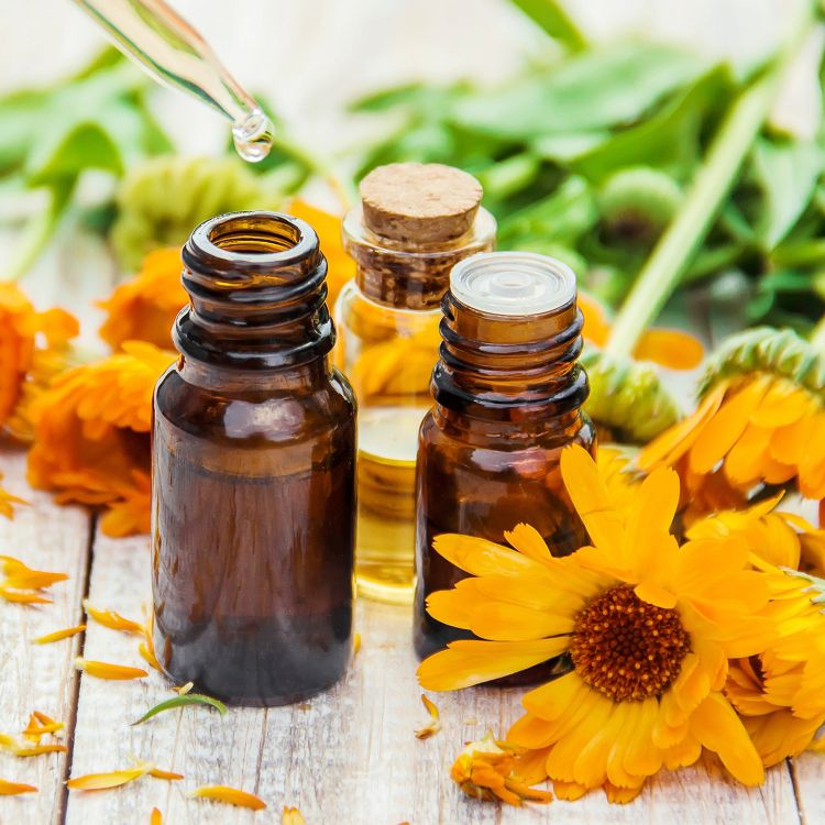 Air Wick Scented Oil Air Freshener - Warmer - 2pk, 6 of 7