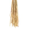Vickerman 24" Dried Bunny Tail Lagurus Bunch, 3 oz - 3 of 3