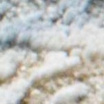 light gray, gray, medium brown