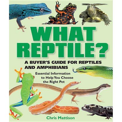 What Reptile? - (What Pet? Books) by  Chris Mattison (Paperback)