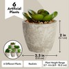 Juvale 6 Pack Artificial Succulent Plants with Pots for Office Desk, Faux Indoor Mini Cactus Decor for Home (2.7 to 4 in) - 4 of 4