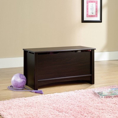 Shoal Creek Dark Wood Storage Chest with Lid Stay Safety