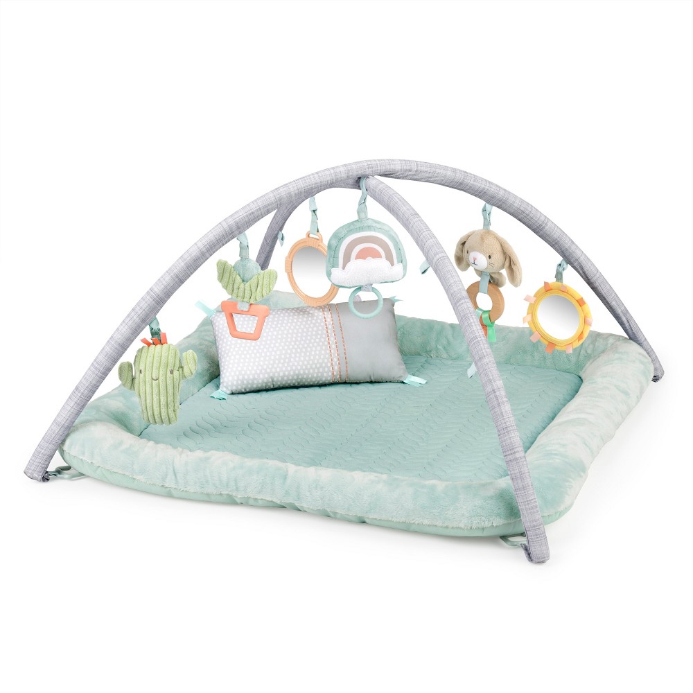 Photos - Educational Toy Ingenuity Calm Springs Plush Activity Gym - Chic Boutique