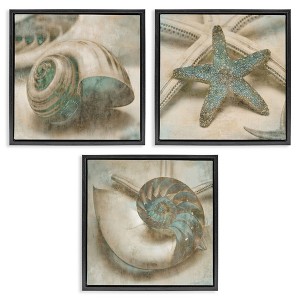 Stupell Industries Starfish & Sea Shells Distressed, 25" x 25" - 1 of 4