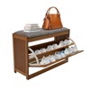 YIYIBYUS Shoe Storage Bench, 2-Tier Shoe Organizer for Entryway - 2 of 4