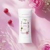 Dove Beauty Rose Berry Bouquet Antiperspirant and Deodorant - Garden Tea Party - Advanced Care - Limited Edition - 2.6oz - 3 of 4