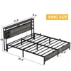 Aheaplus Bed Frame with Charging Station and RGB LED Lights - 4 of 4