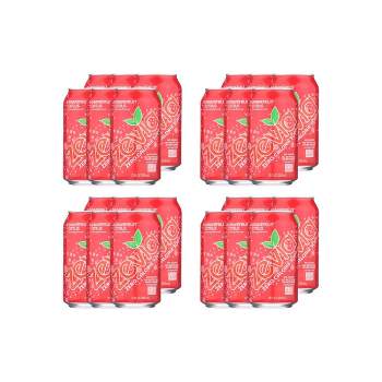 Zevia Grapefruit Citrus Zero Calorie Soda - Case of 4/6 pack, 12 oz