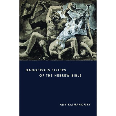 Dangerous Sisters of the Hebrew Bible - by  Amy Kalmanofsky (Paperback)