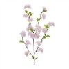 Apple Blossom Floral Branch (Set of 6) - 2 of 2