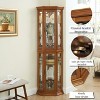 Sapphtopaz Corner Bookcase with Storage, Space Saving Display Curio Cabinet, Glass Bookshelf Shelf Tower for Small Spaces, Office - 4 of 4