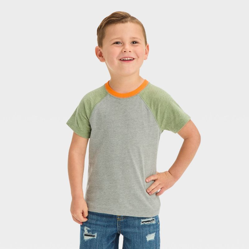 Toddler Boys' Colorblock Jersey Knit T-Shirt - Cat & Jack™ Gray, 1 of 5